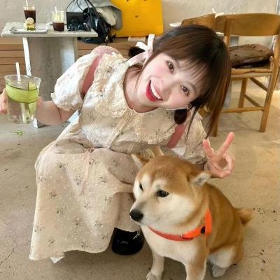 心碎高中